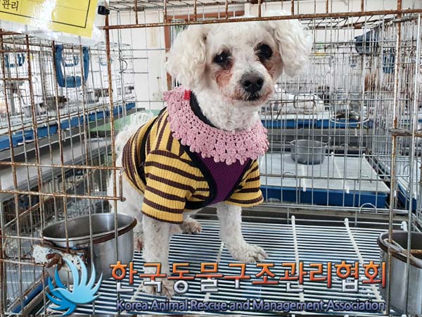 한국동물구조관리협회_441559202300371